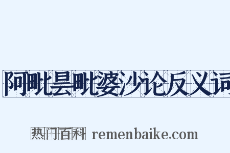 阿毗昙毗婆沙论反义词是什么意思的图片